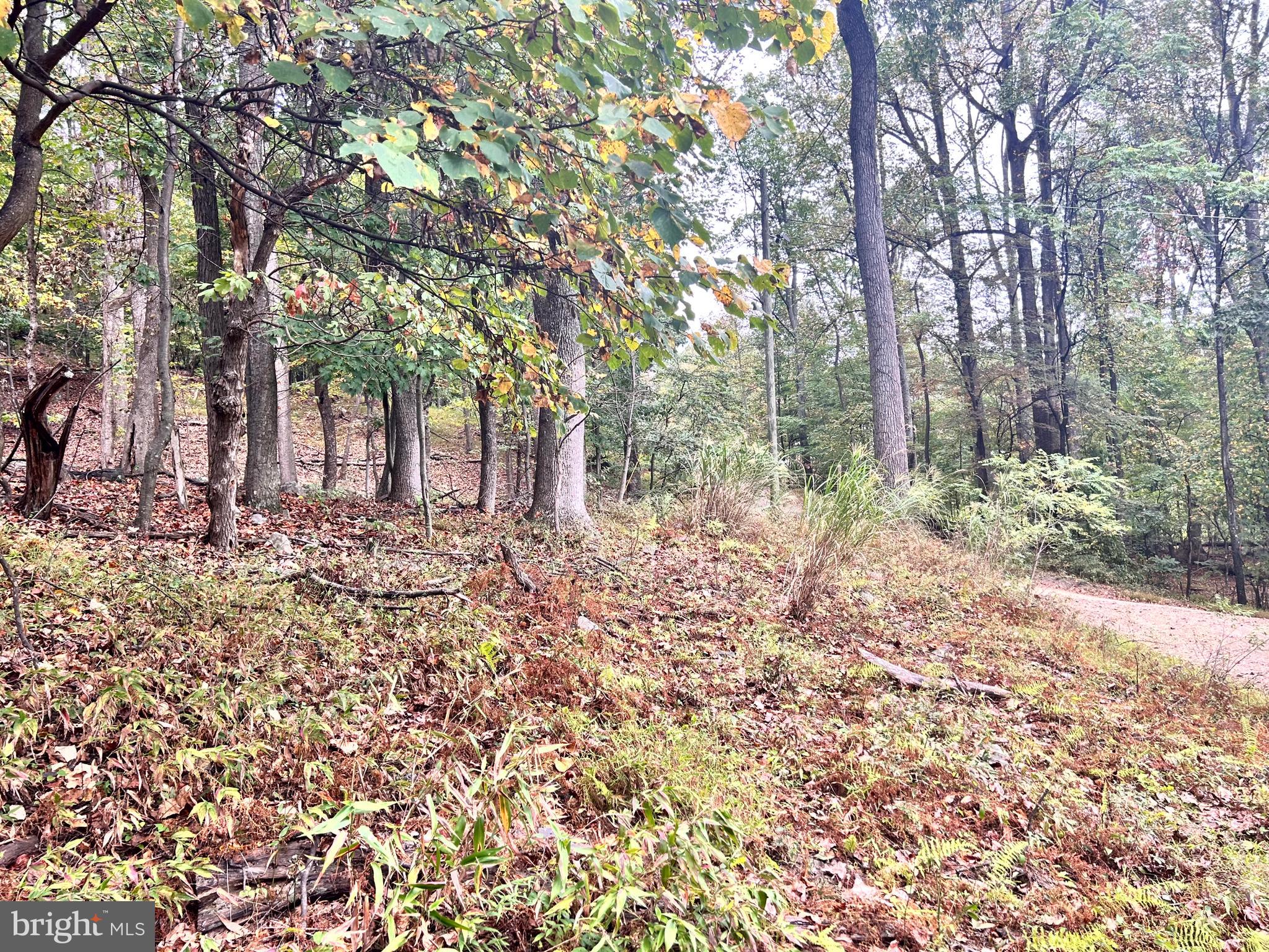 SLEEPY HOLLOW - Land