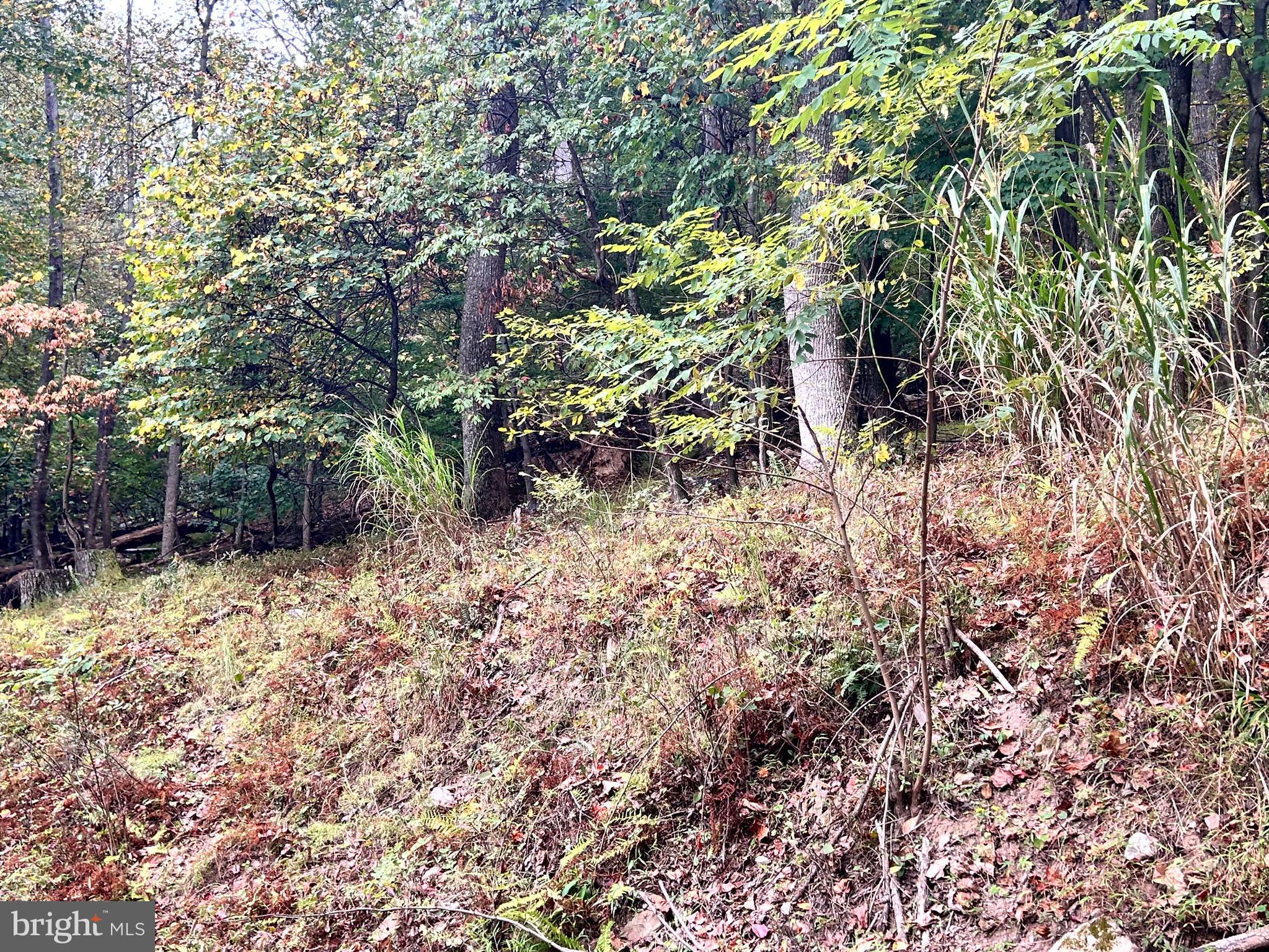 SLEEPY HOLLOW - Land