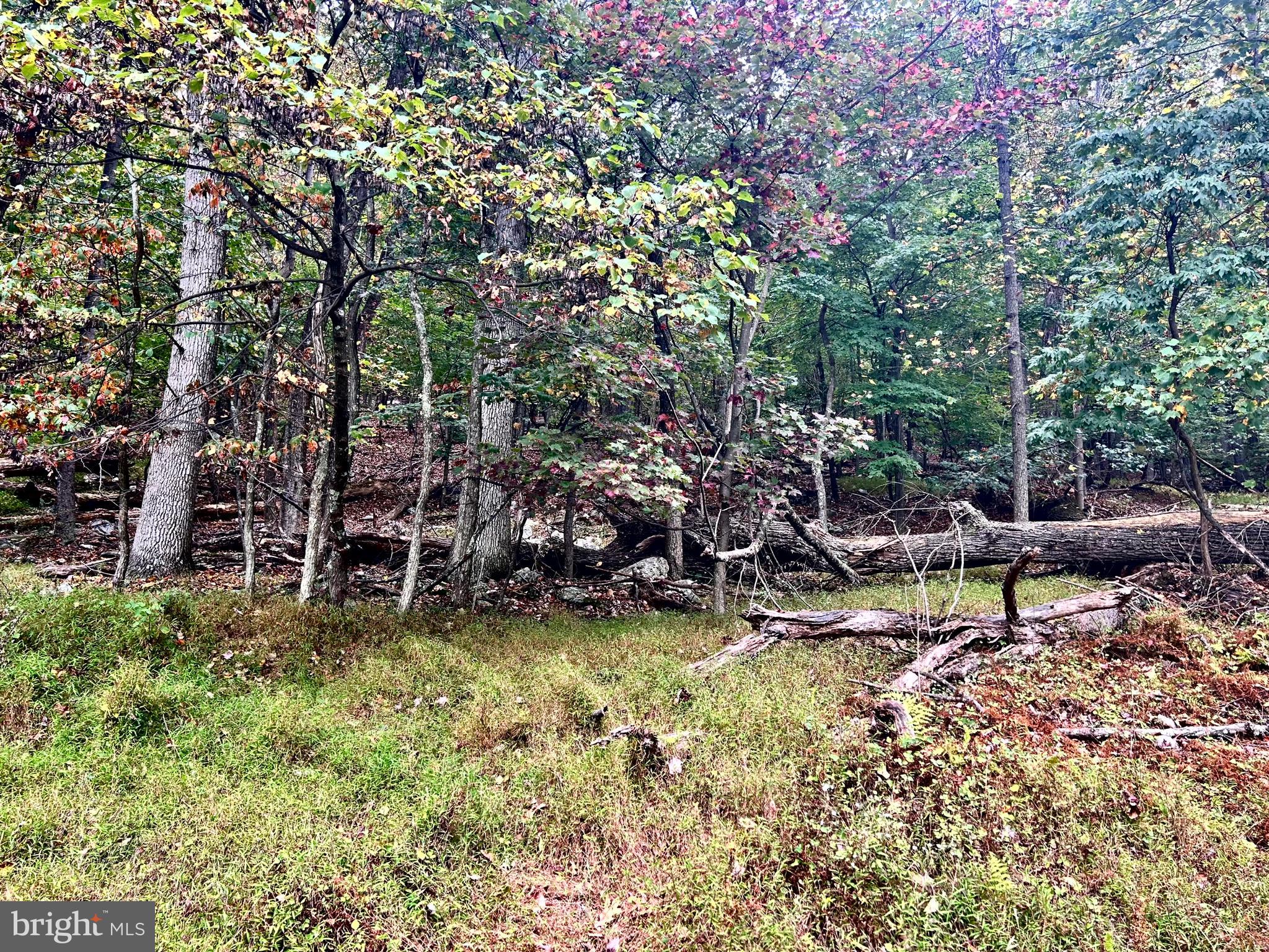 SLEEPY HOLLOW - Land