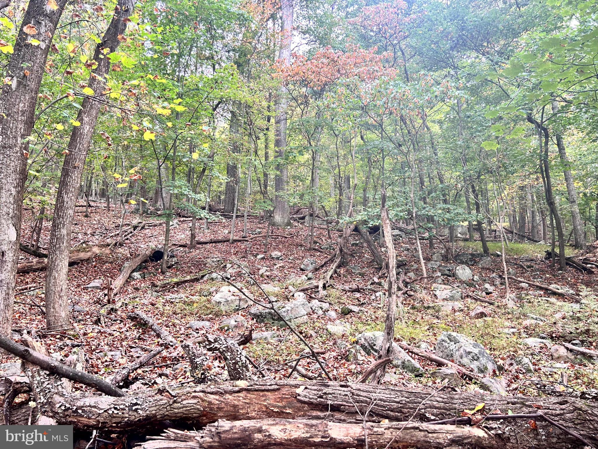 SLEEPY HOLLOW - Land