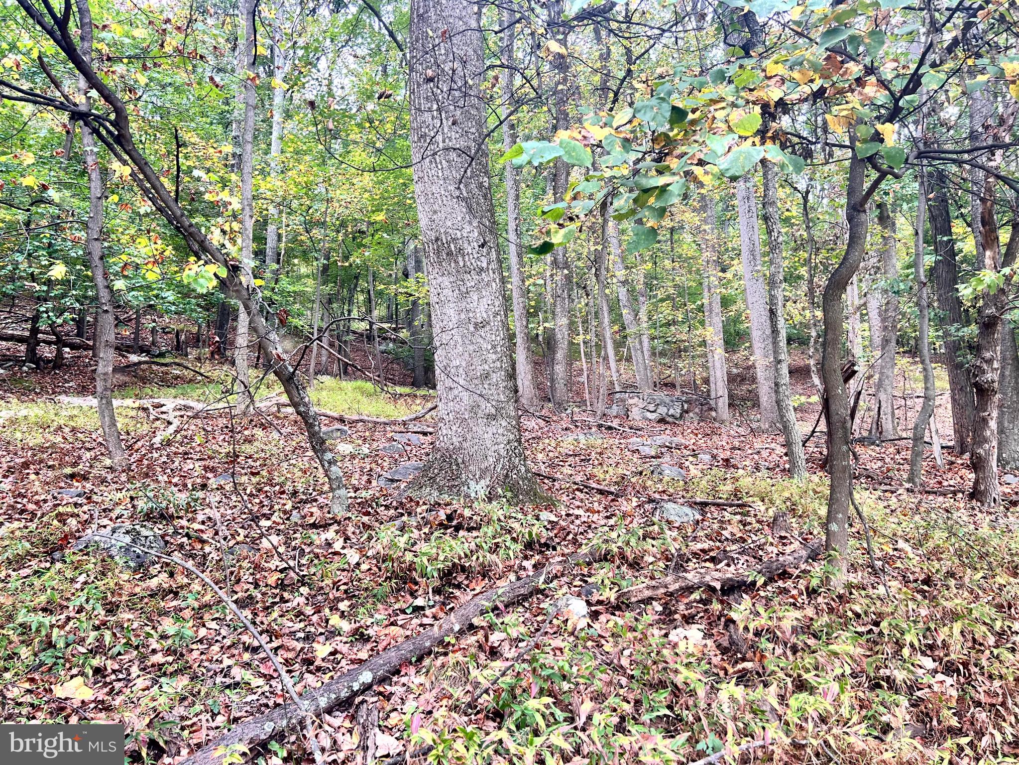 SLEEPY HOLLOW - Land