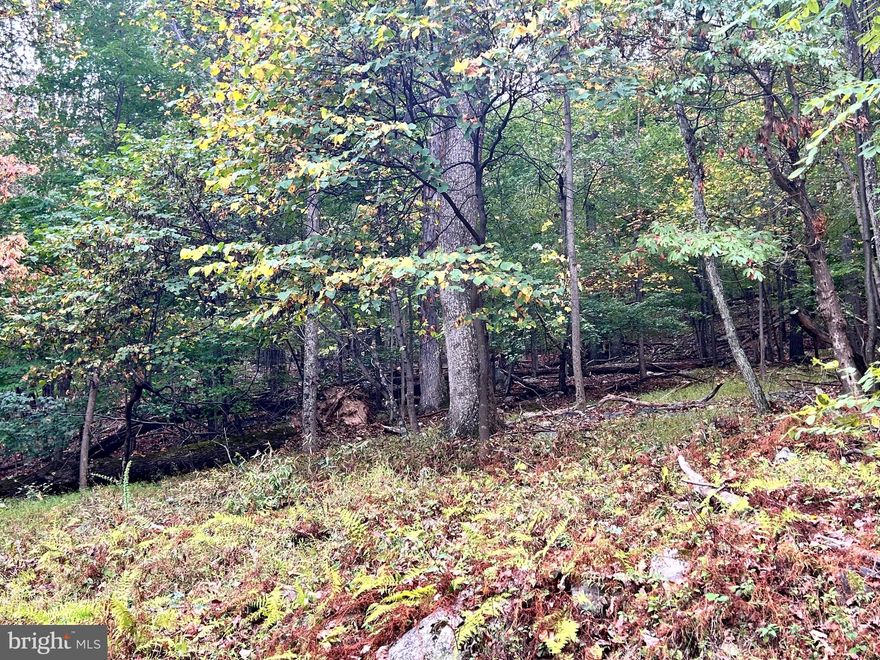 Are you looking for a little slice of land to build your part-time retreat or full-time residence?  You may wish to consider this wooded lot in Sleepy Hollow Subdivision.  This lot is heavily wooded, so it would need to be cleared.  Sloped, but the view from the lot is awesome.  This lot is located on dead end road too, so there is very little traffic.  Mature trees, both standing and fallen -- make the most of it and use the fallen timber for firewood.  Buyer to perform their own due diligence.  Sleepy Hollow is located just minutes from Route 9 and about 15 minutes from I-81.  This lot backs up to  Sleepy Creek Wildlife Management area which offers hunting, fishing, nature trails and so much more.  Additionally, this lot is just below the Tuscarora Trail.  A straight walk "up the mountain" will take you to an amazing, pristine overlook with a path that leads to that Tuscarora Trail.  There's so much more to discover with them gem of a lot - it's literally a hikers paradise!  Drive by and take a look.  You might like what you see!