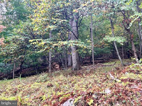 Vacant Land For Sale - LOT 16 Dewdrop Lane<br/> Berkeley County, HEDGESVILLE, WV 25427