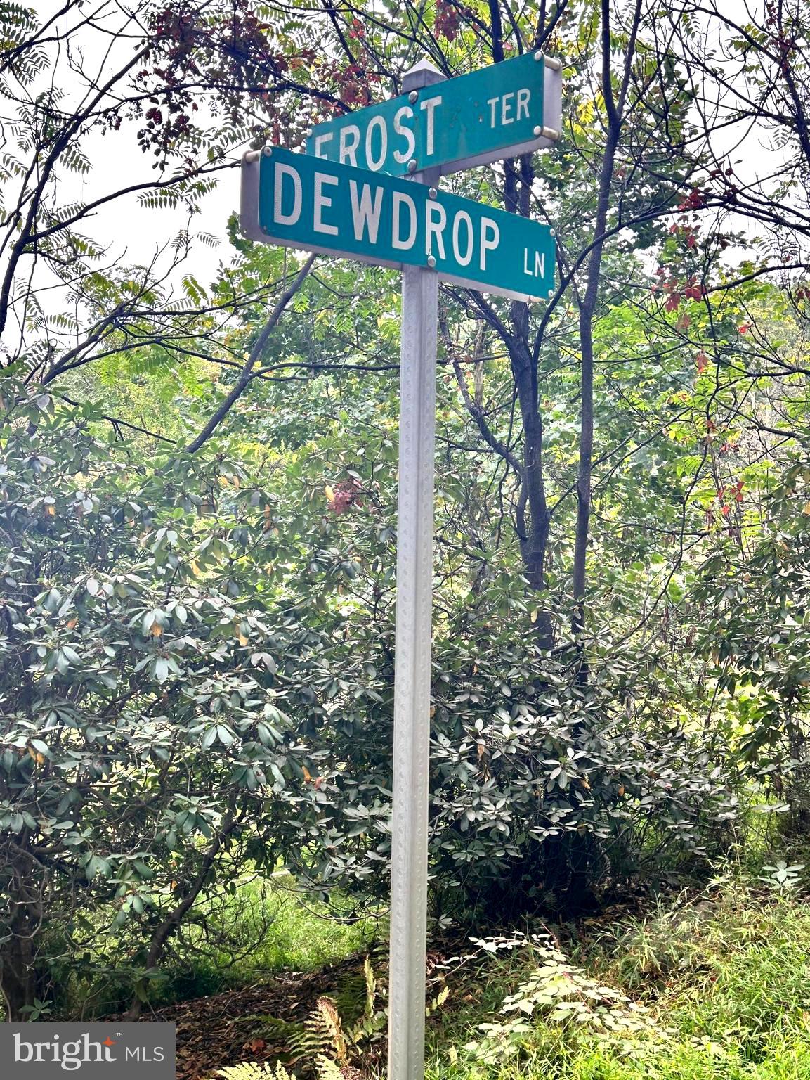 SLEEPY HOLLOW - Land