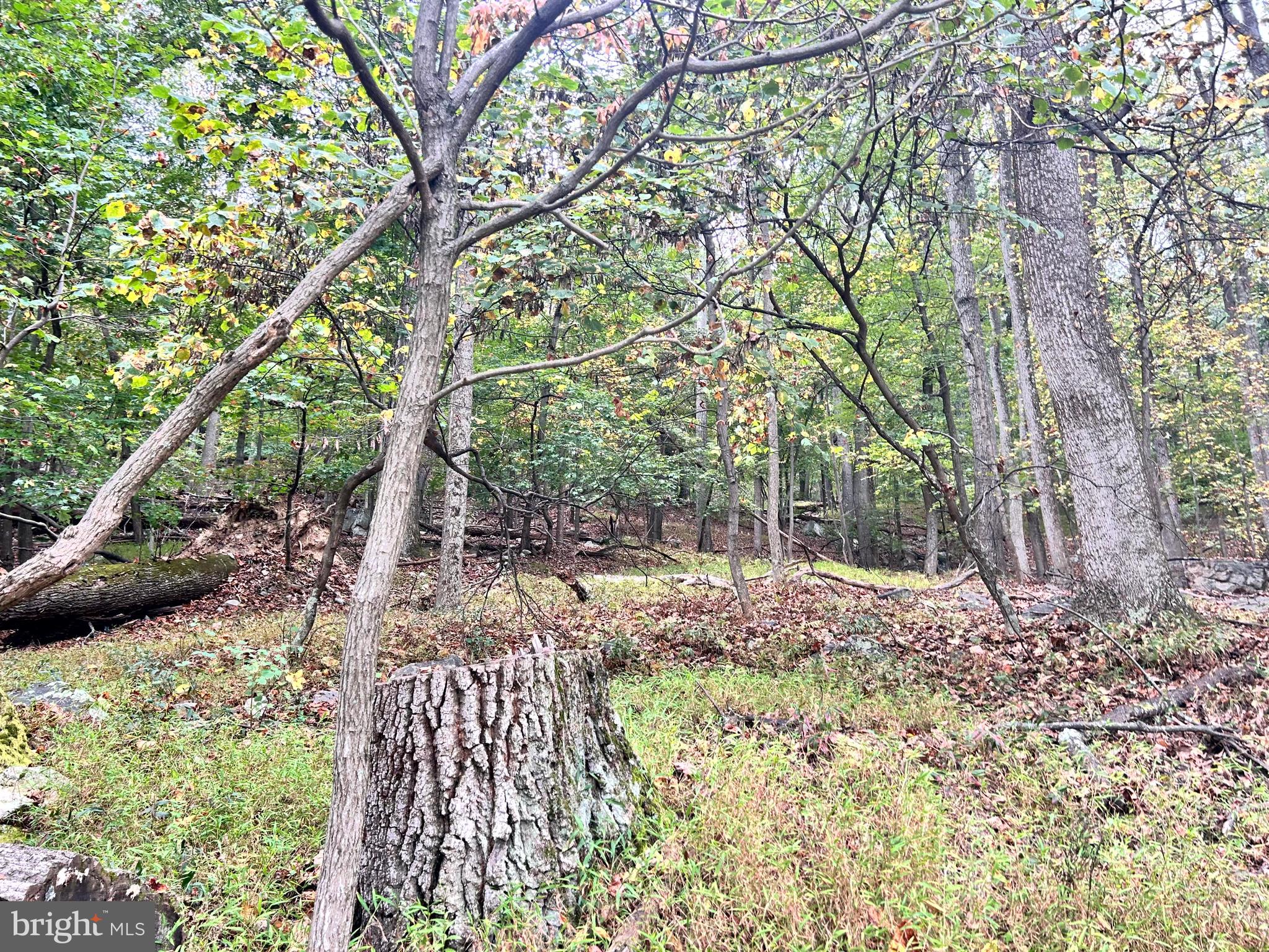 SLEEPY HOLLOW - Land