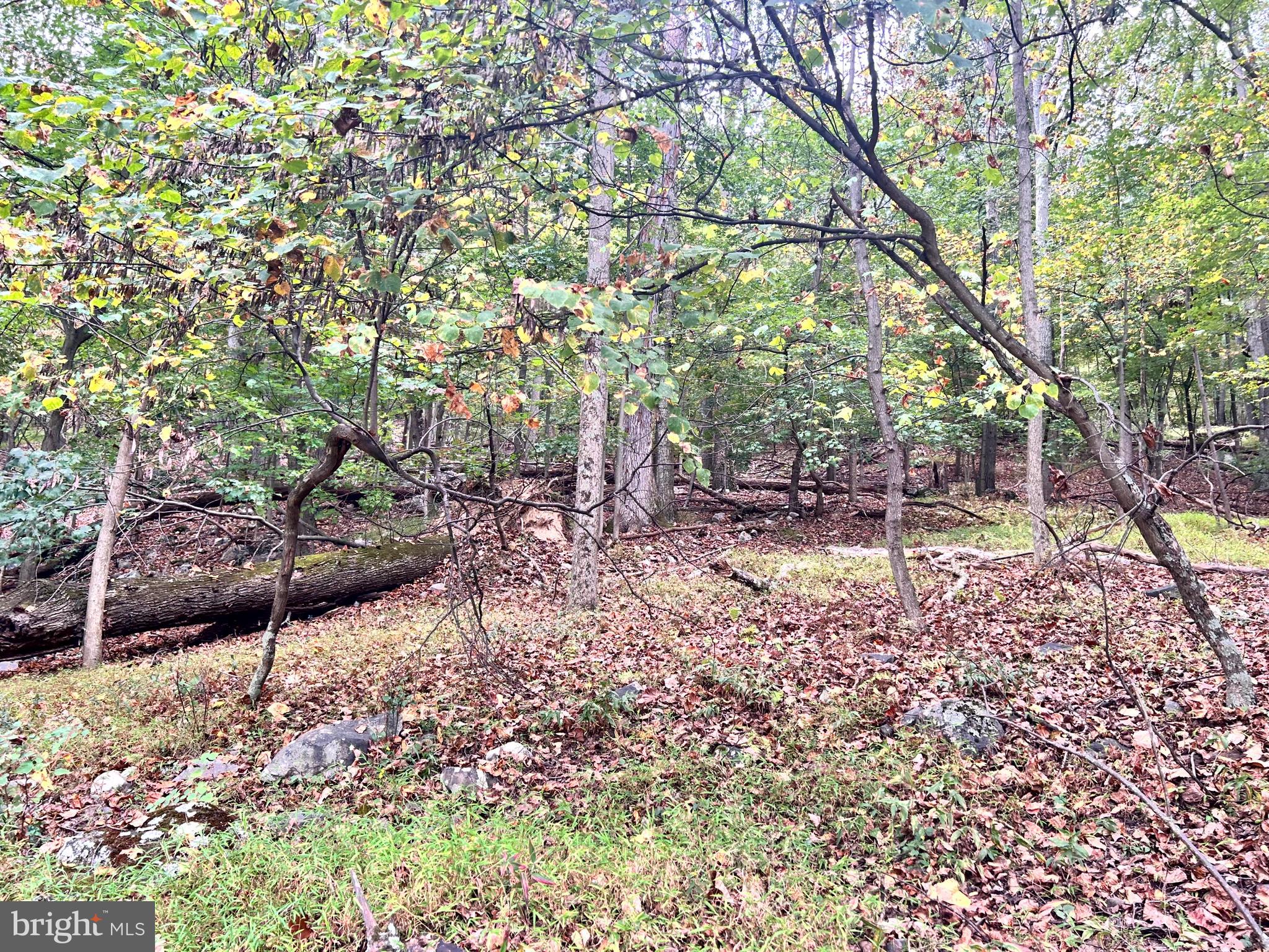 SLEEPY HOLLOW - Land