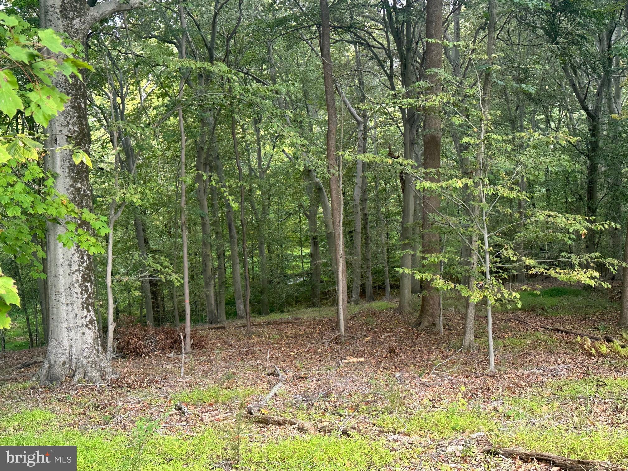 OAKWOOD - Residential