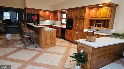 13870 DOWELL ROAD SOLOMONS MD 20688