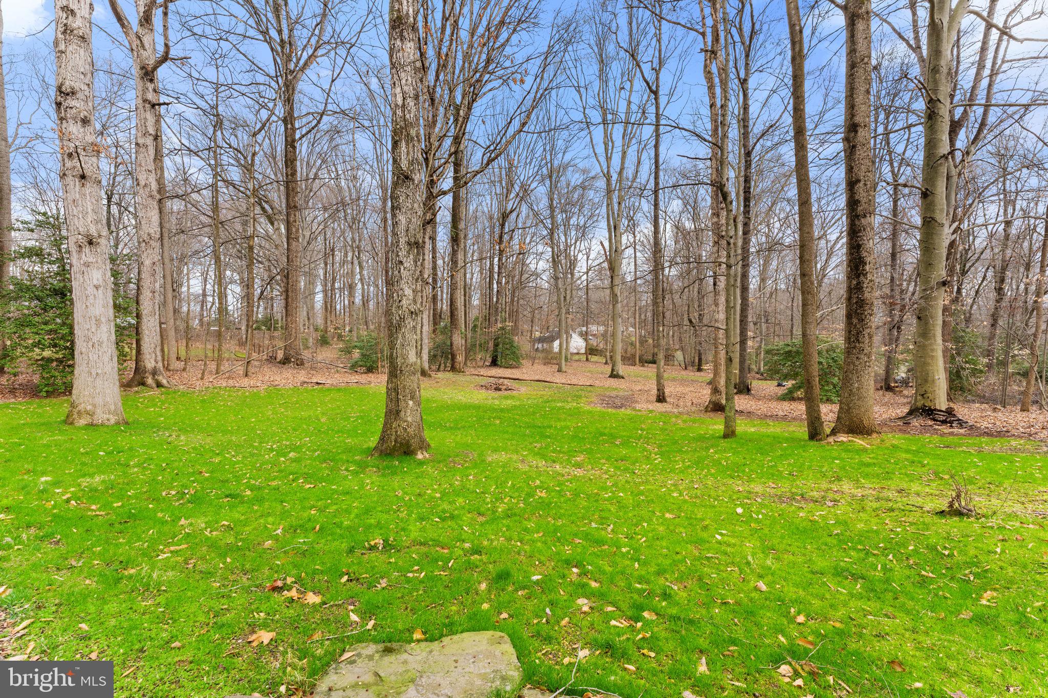 WARRENTON VILLAGE - Residential