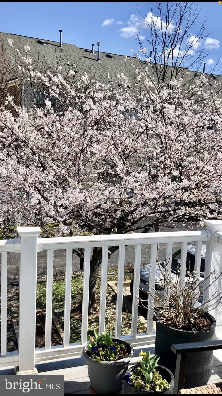 KING FARM - Residential