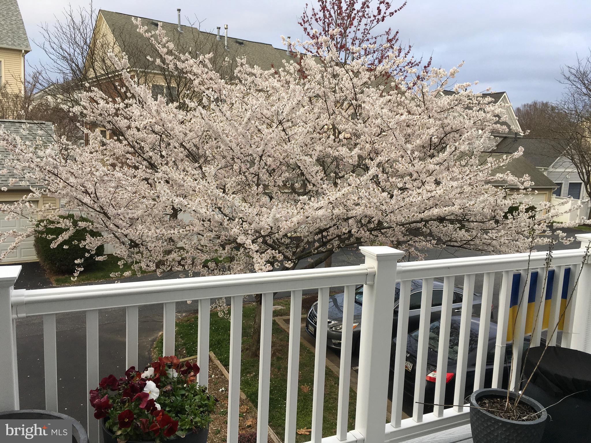 KING FARM - Residential