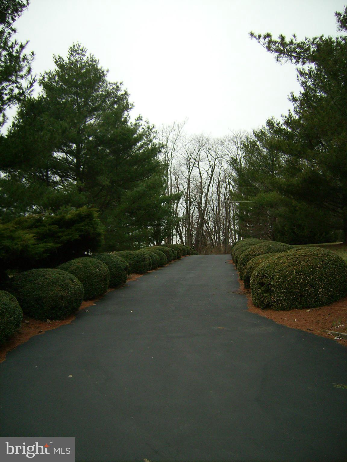 CEDAR LAWN - Residential