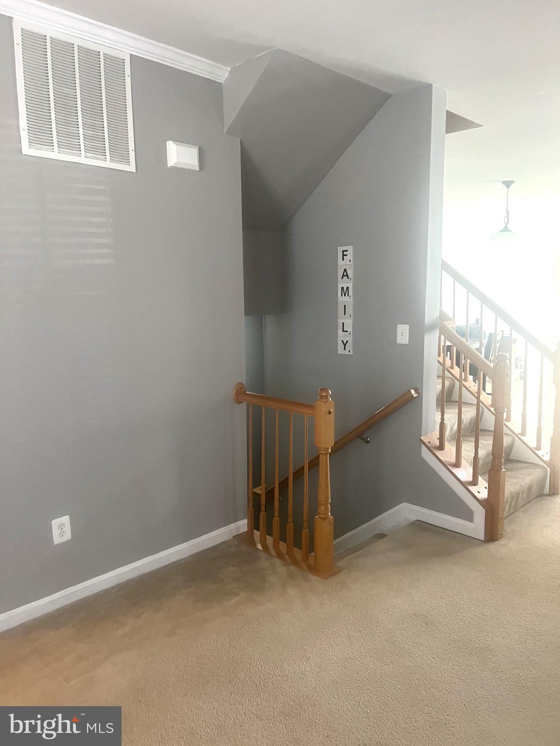 SHENANDOAH SPRINGS - Residential