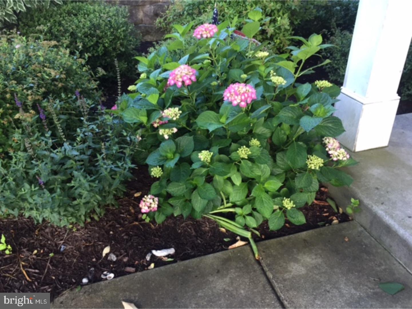 CHASE AT BELL TAVE - Residential Lease