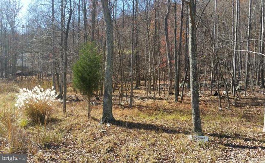 Cacapon East! Beautiful 1.74 acre building lot  with paved roads, underground utilities, public sewer. Nicely wooded with cascading rock backdrop, easterly exposure, Perfect for that mountainside chalet or country cottage, Marked building site. Near the Cacapon State Park for swimming, hiking, golfing, and direct community access to the park's trails.  An Exceptional Value! Seller / Agent