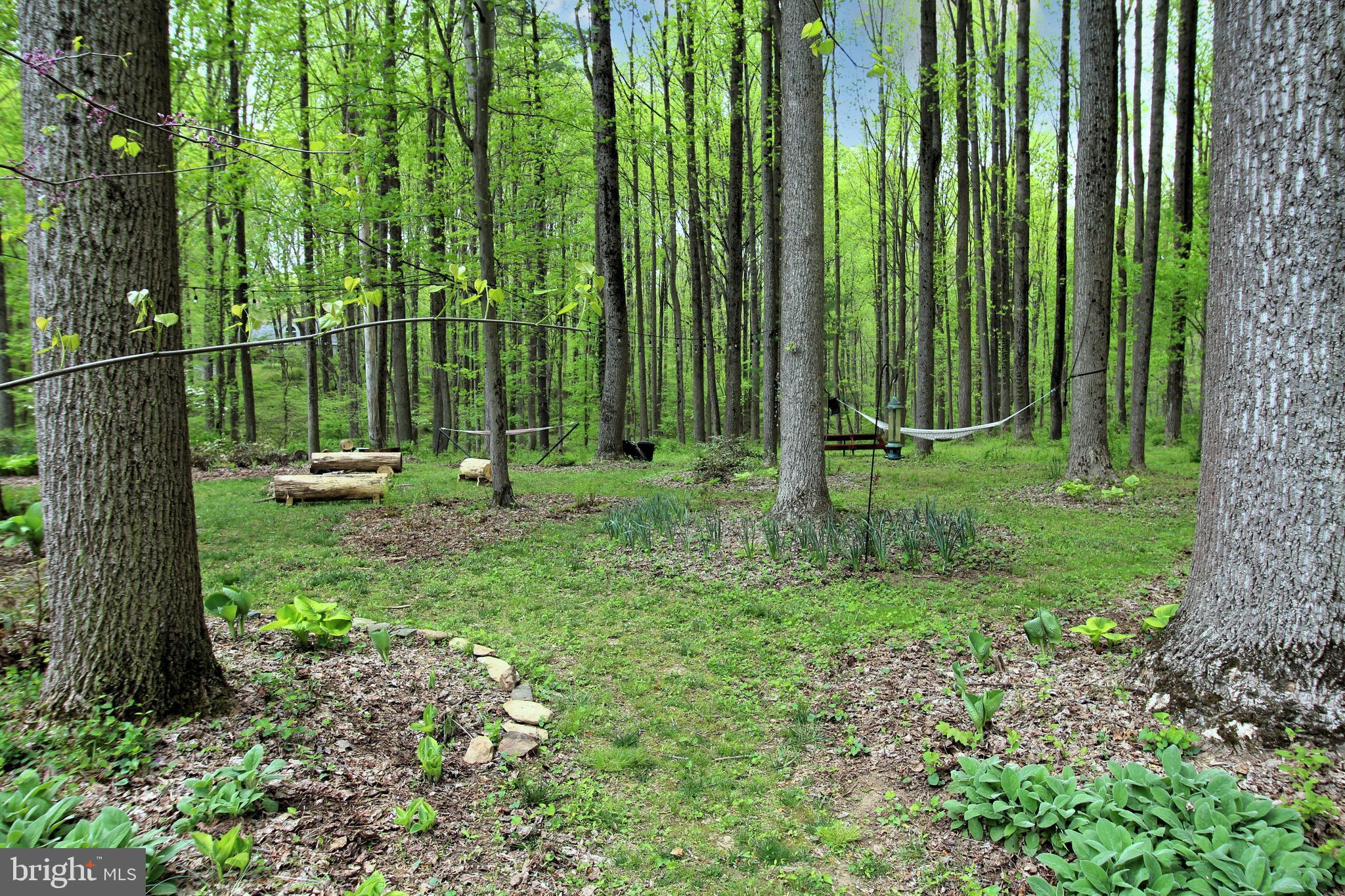 OLNEY OUTSIDE - Residential