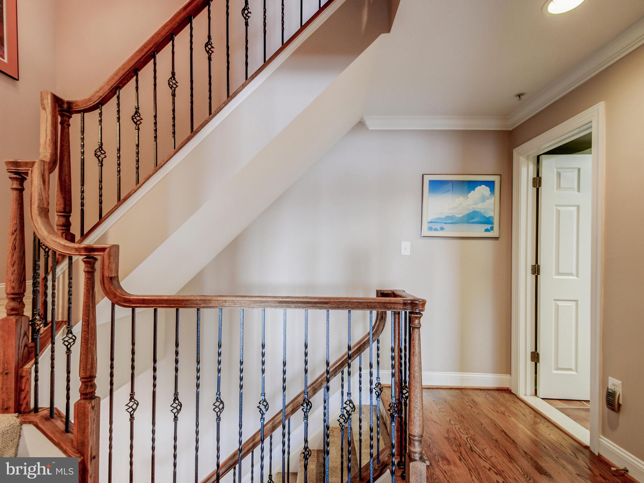 NORTH SHORE - Residential