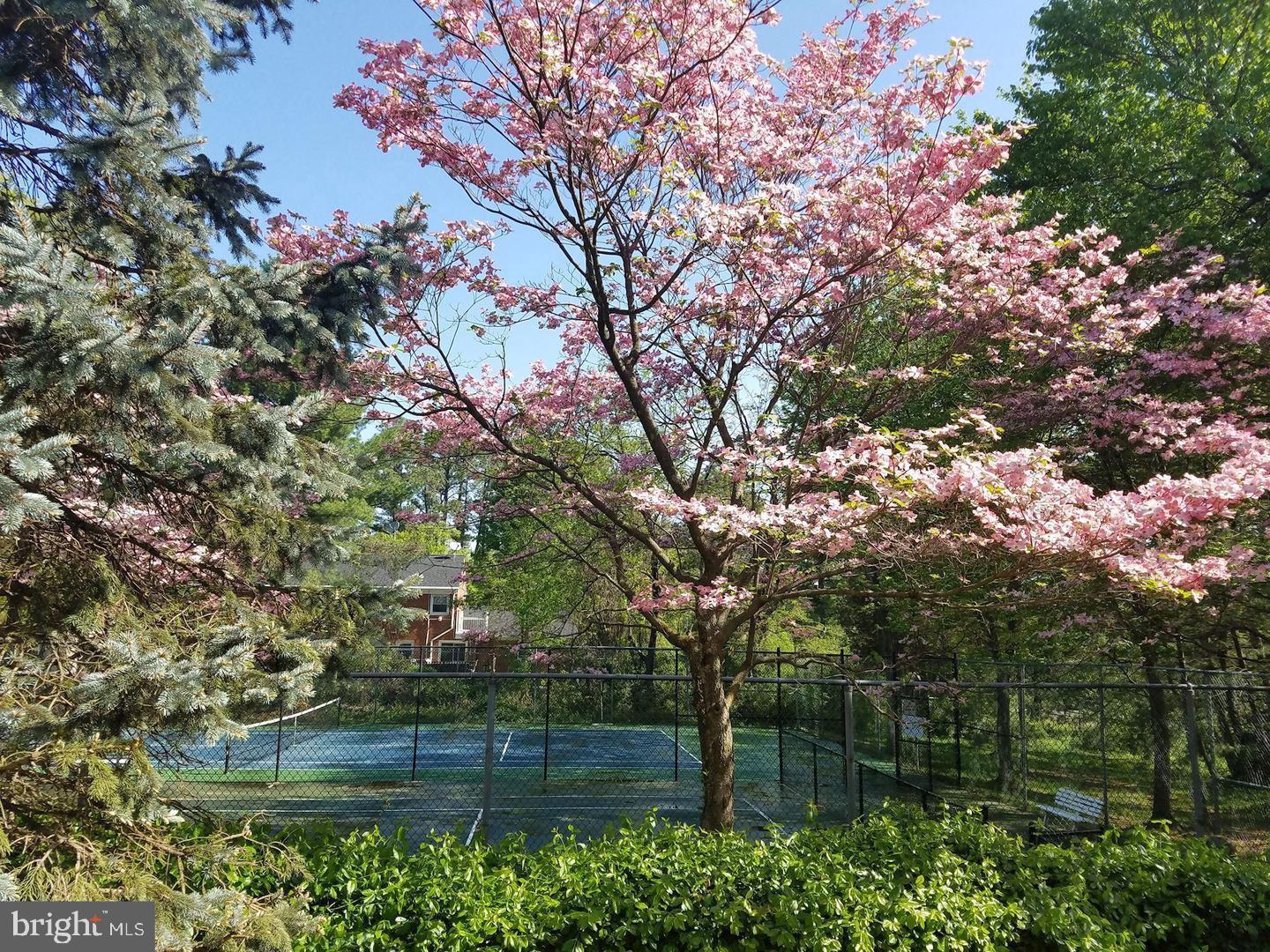 3322 LAKESIDE VIEW DRIVE 3-3