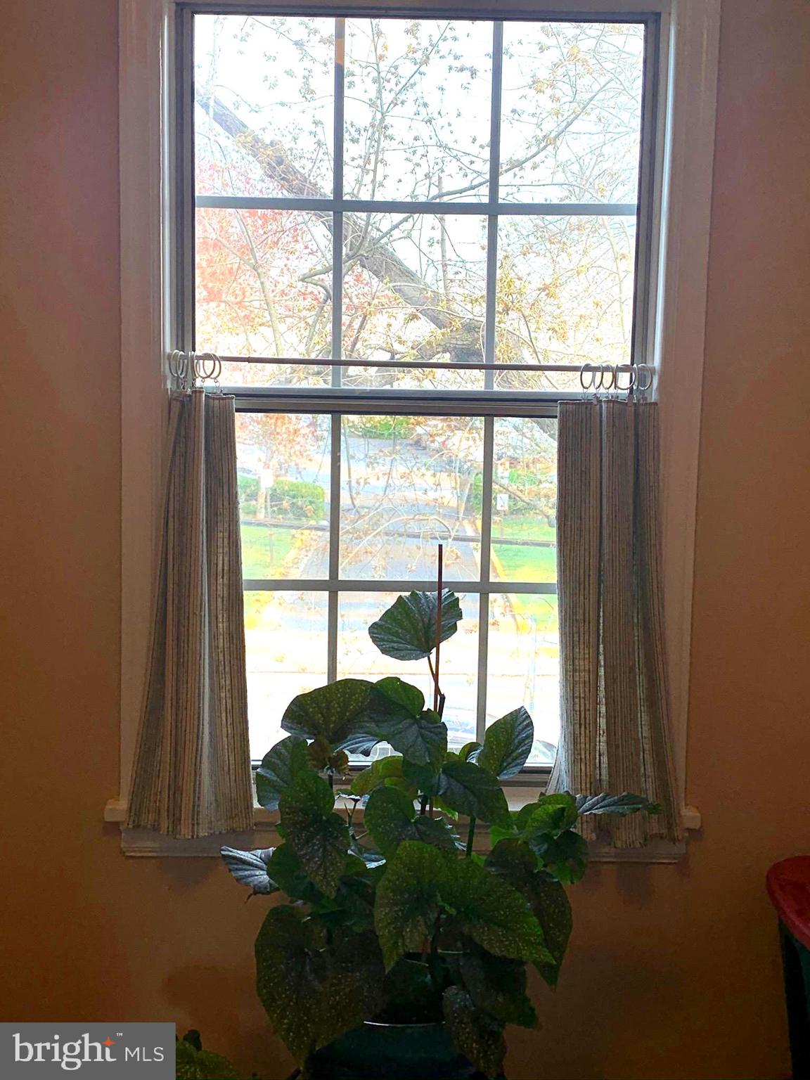 BELLE VIEW CONDOMINIUMS - Residential Lease