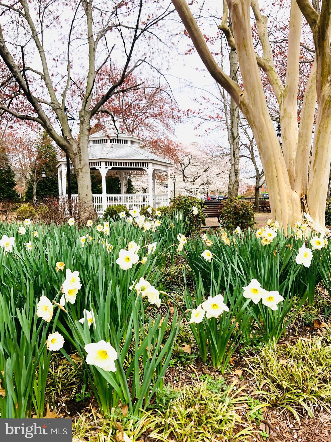 BELLE VIEW CONDOMINIUMS - Residential Lease