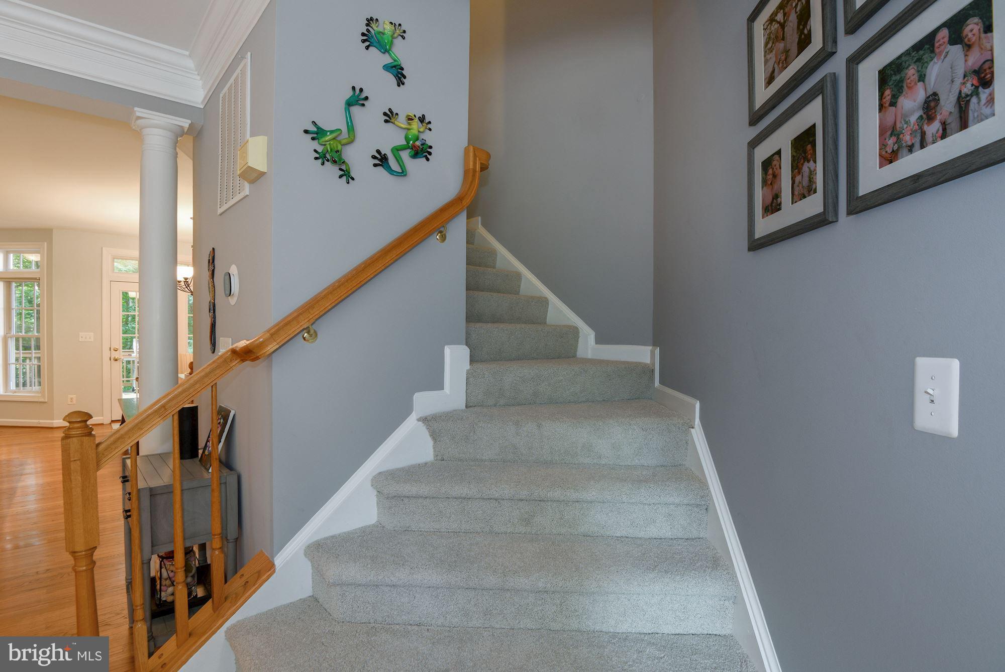 SOUTH RIVER COLONY - Residential