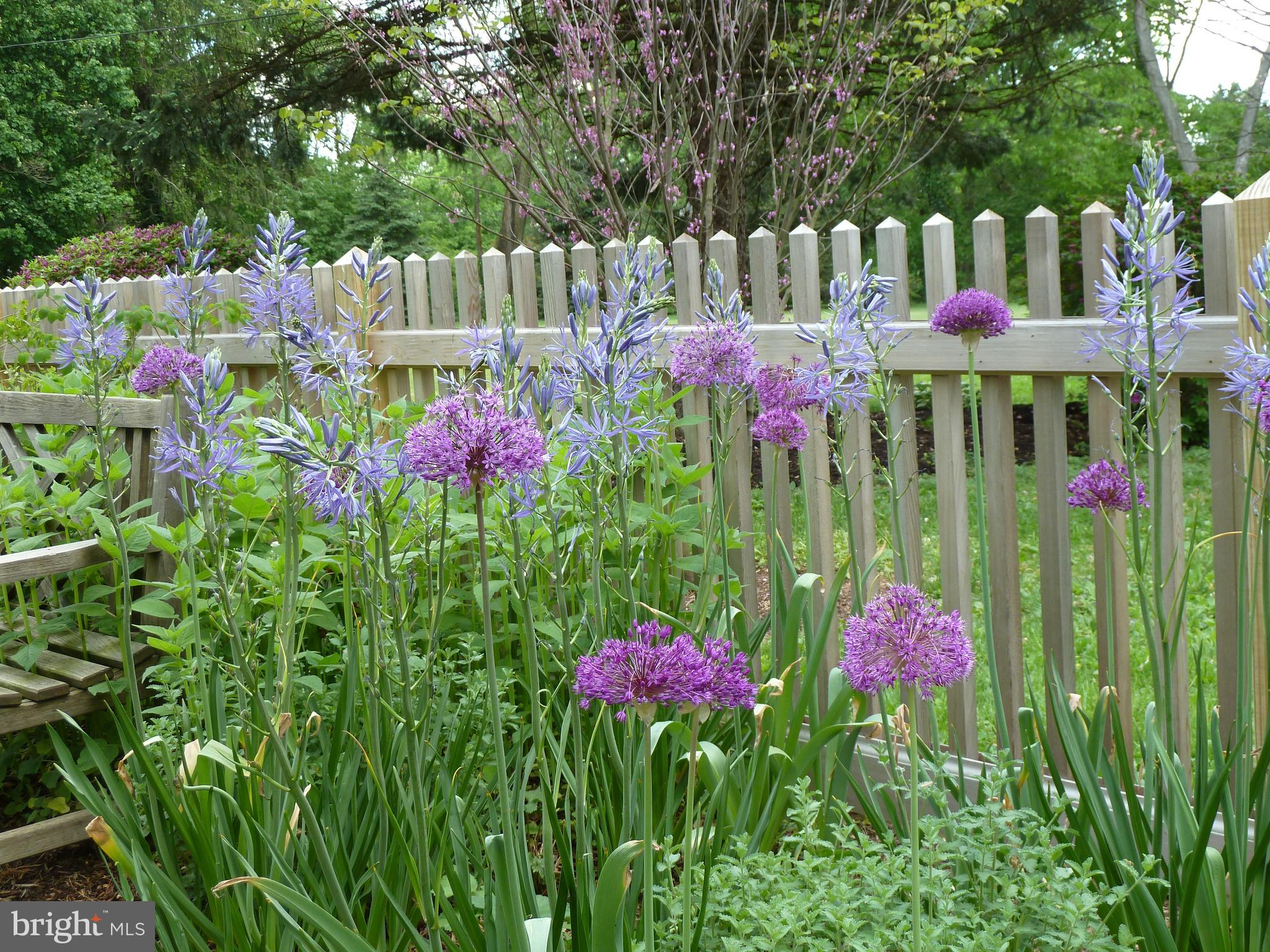 CLEMENS FARMS - Residential