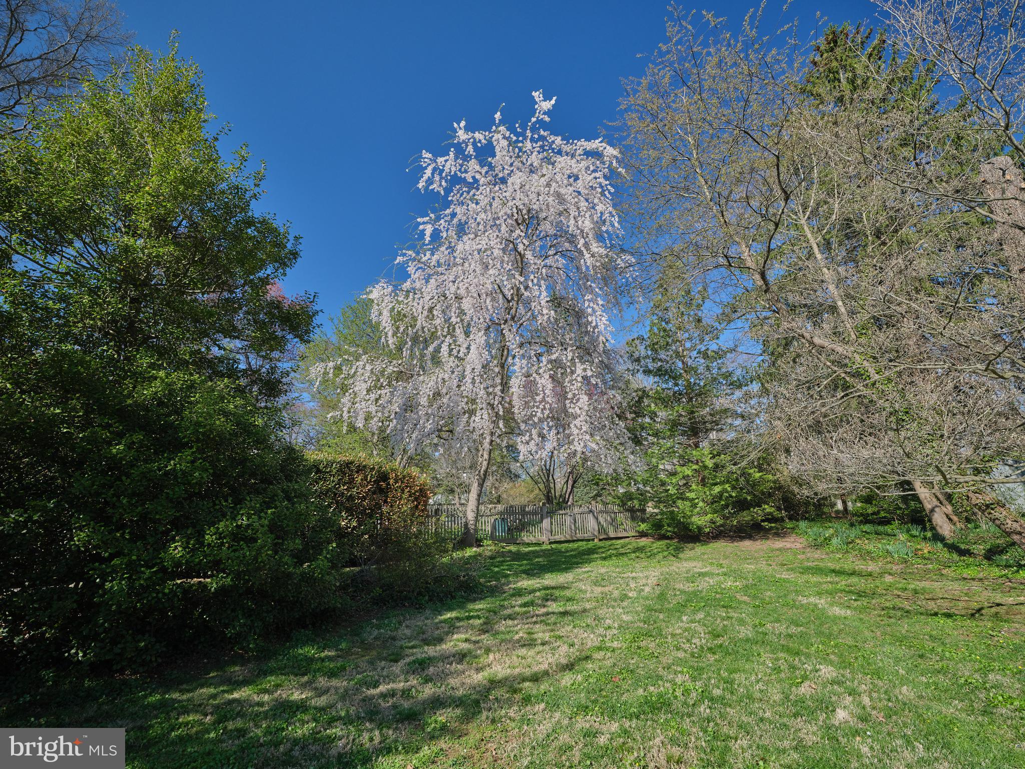 CLEMENS FARMS - Residential