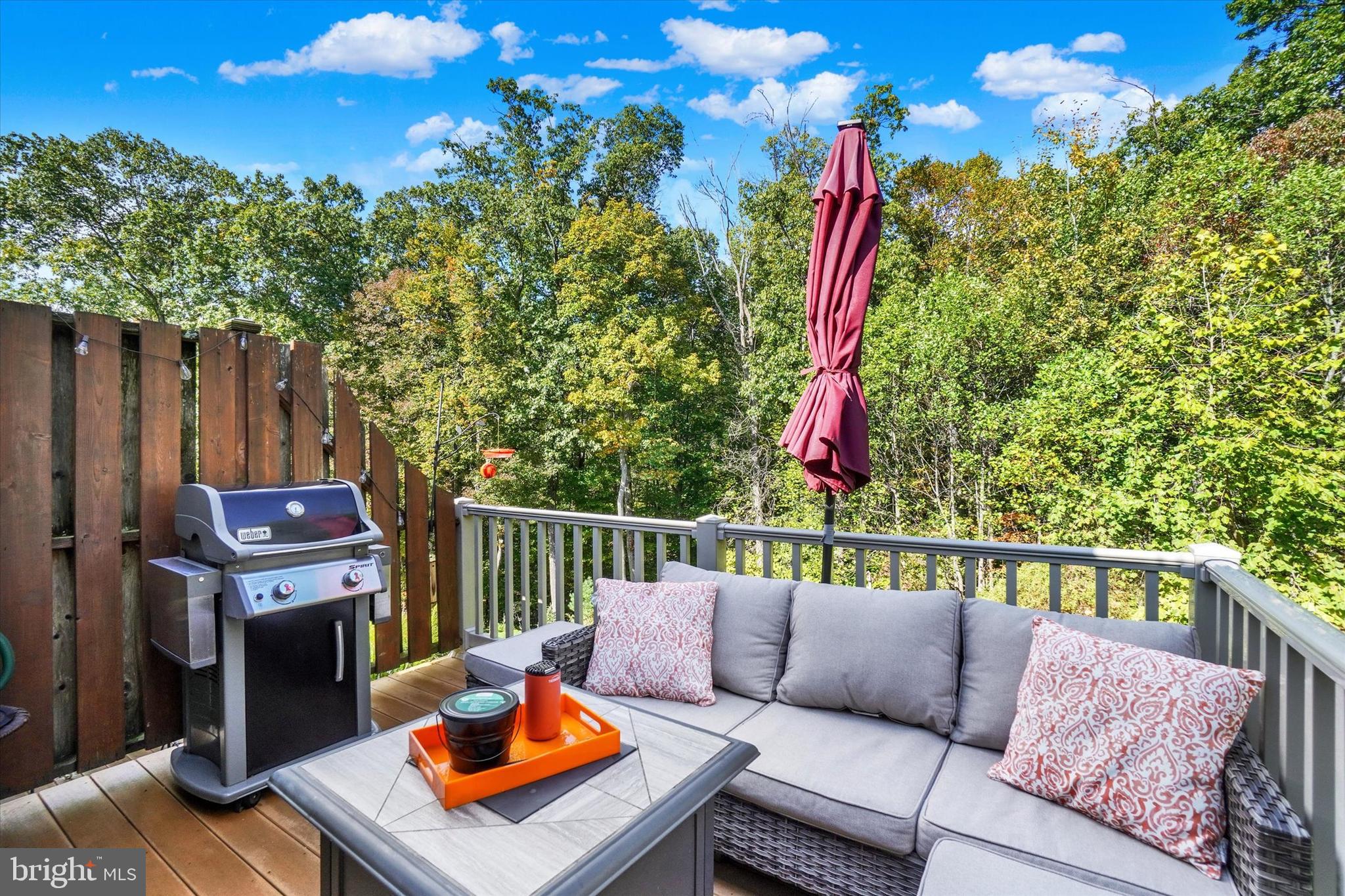 OLDE ORCHARD HILL - Residential