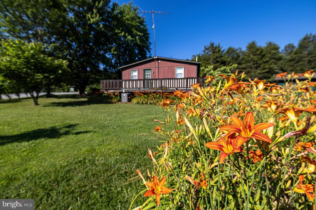 LAND OF LURAY - Residential
