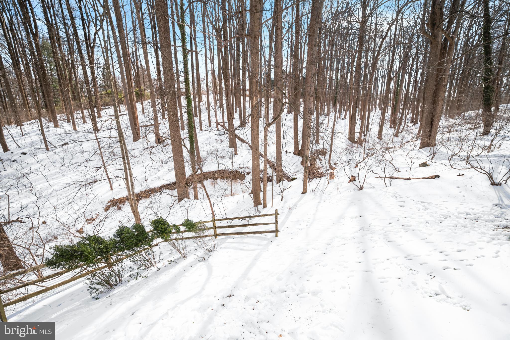 MCKENZIE MEADOWS - Residential