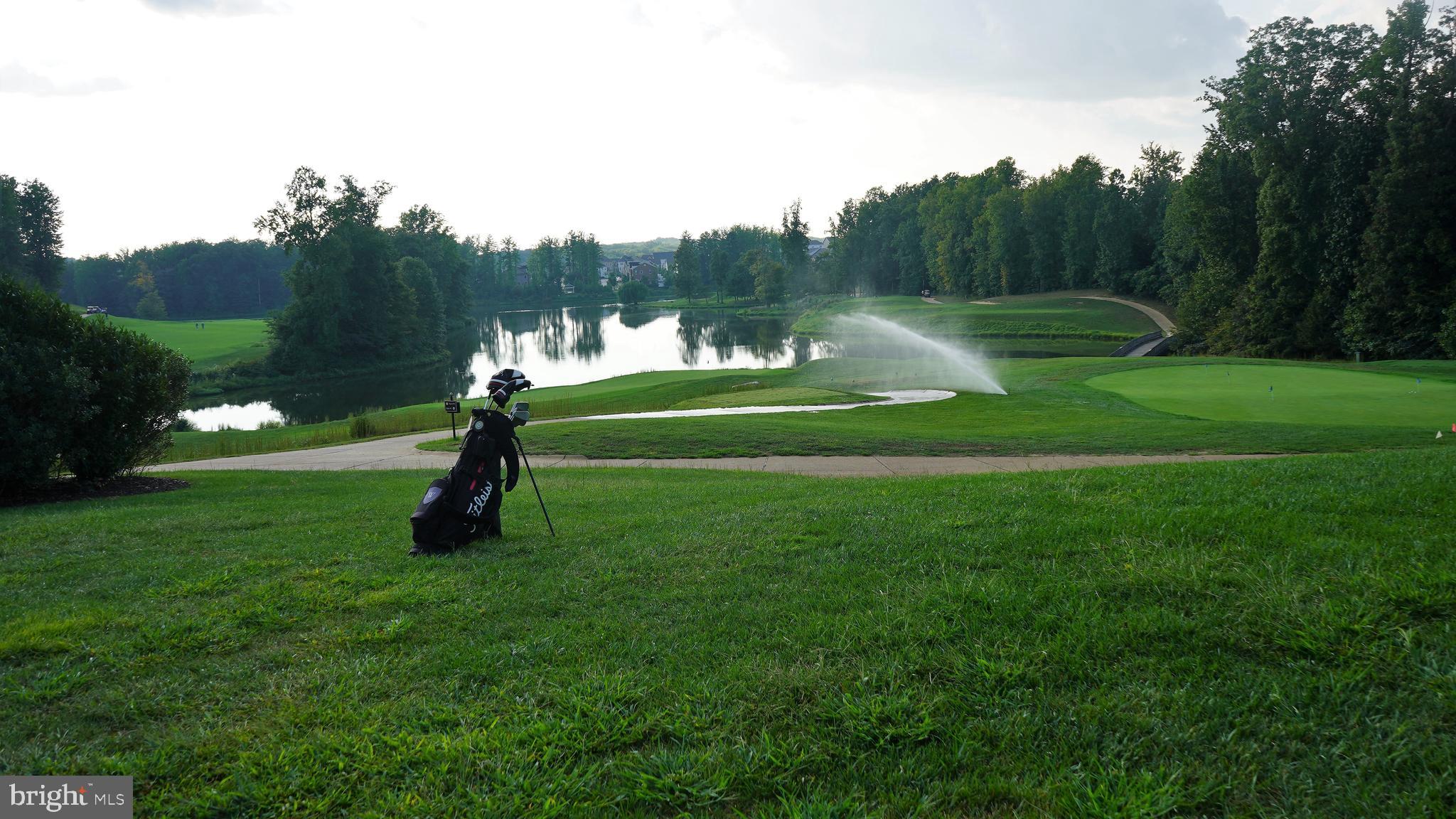 BEECHTREE ESTATES - Residential