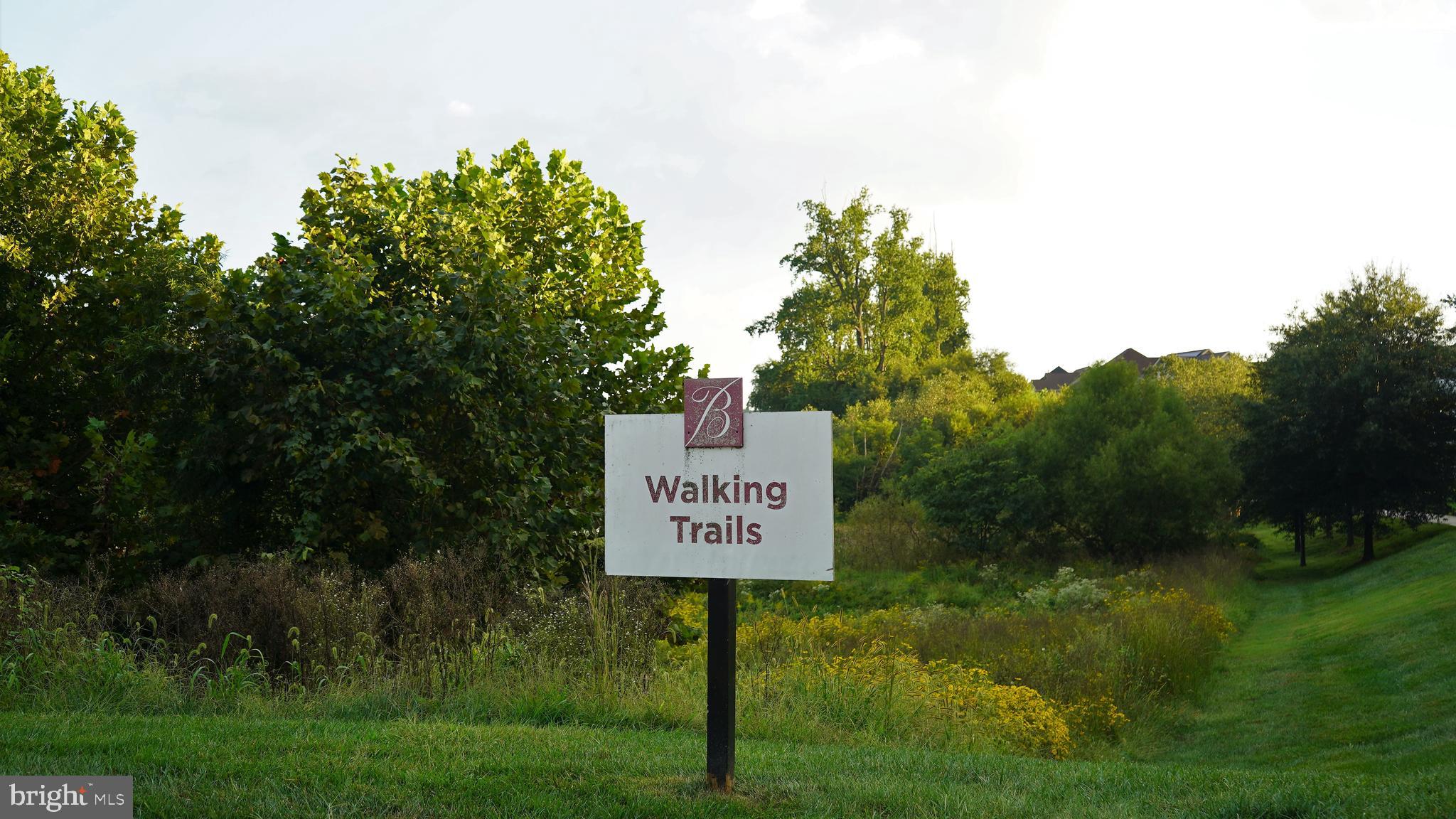 BEECHTREE ESTATES - Residential