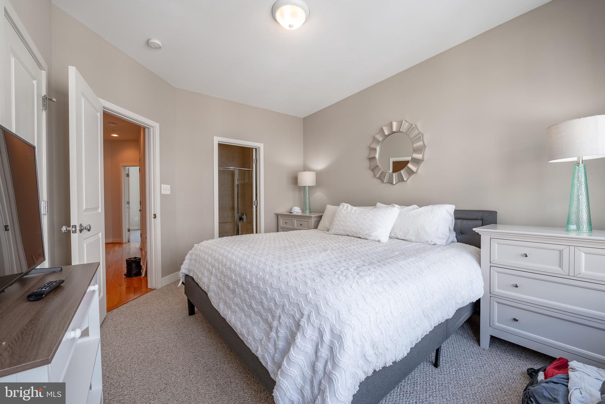 ARTS DISTRICT HYATTSVILLE - Residential