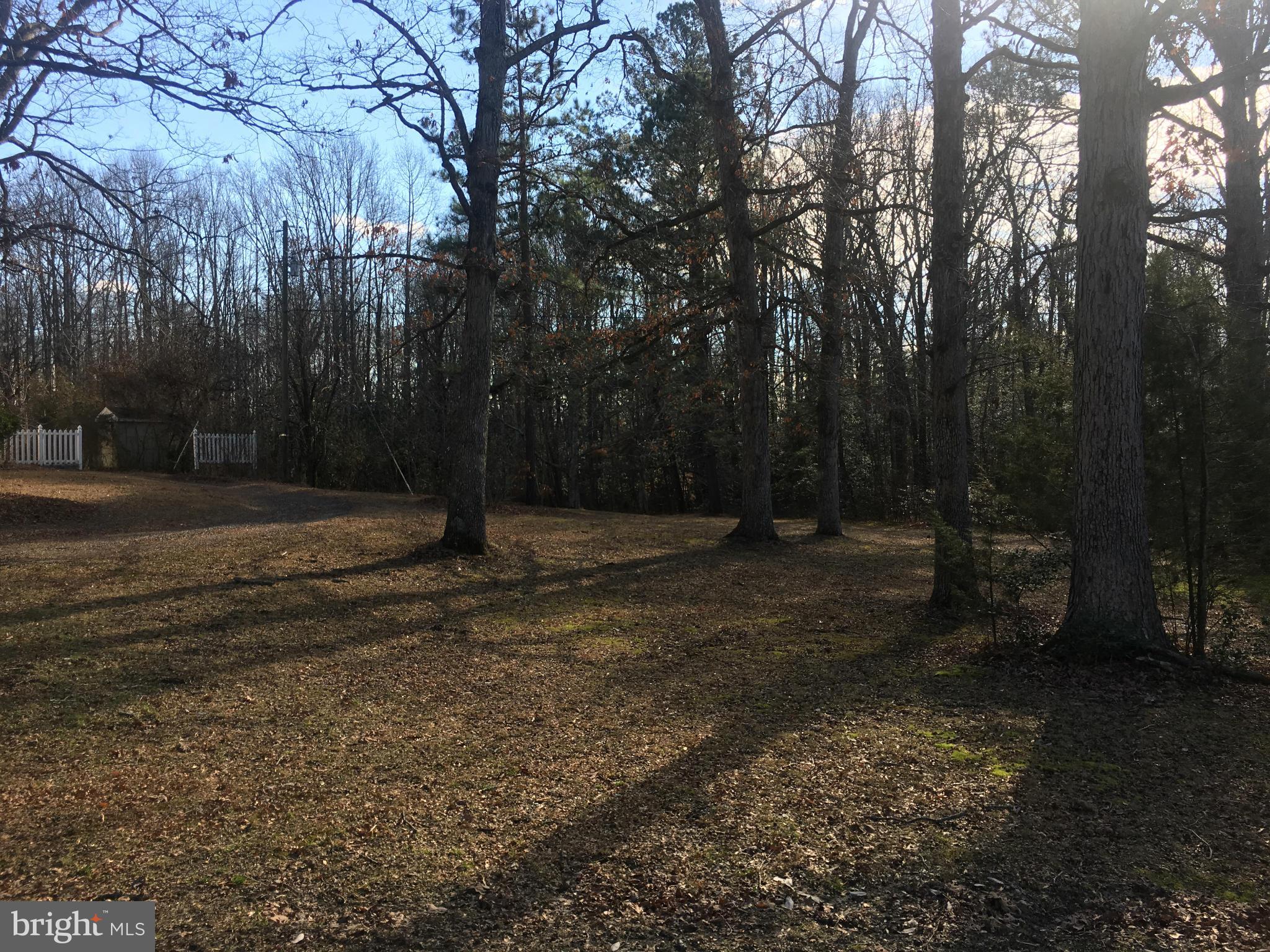 NANCY WRIGHT - Residential