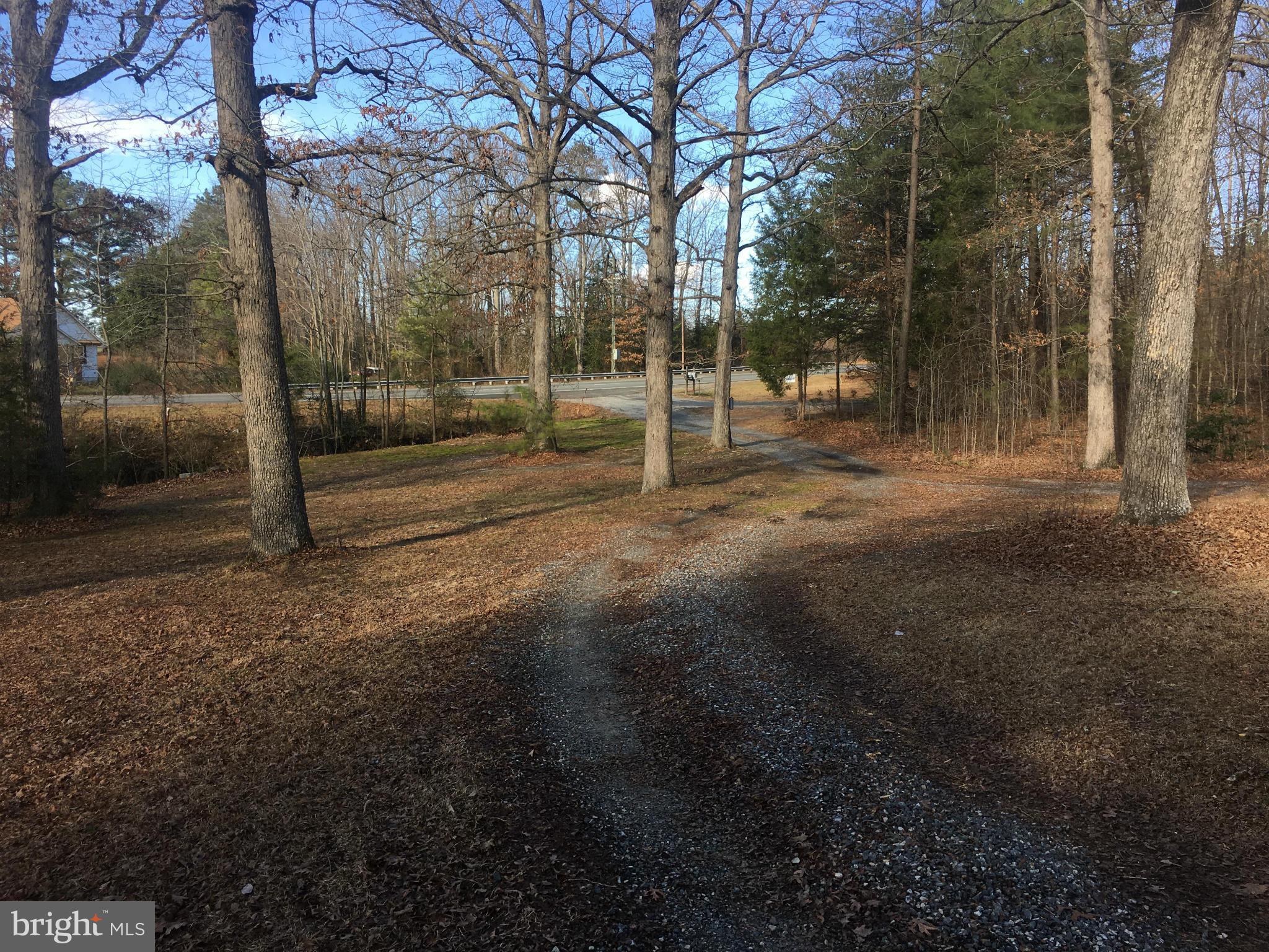 NANCY WRIGHT - Residential