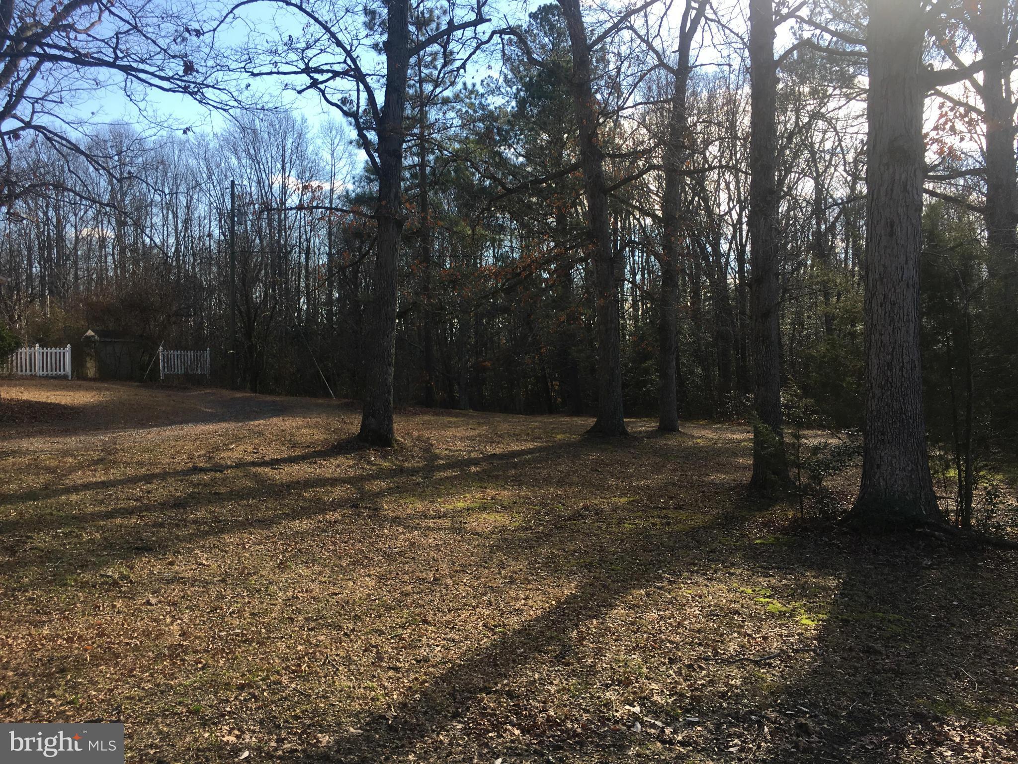 NANCY WRIGHT - Residential