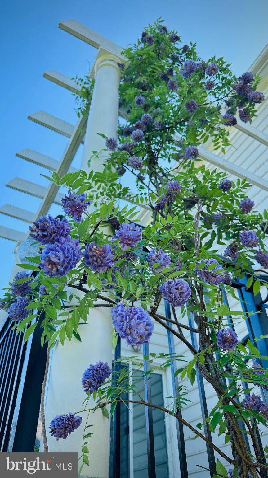 GREAT FALLS WEST - Residential