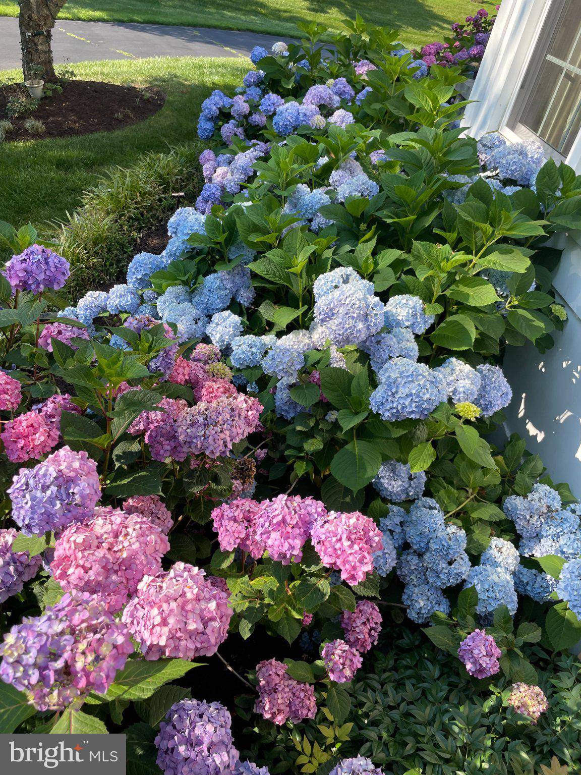 GREAT FALLS WEST - Residential