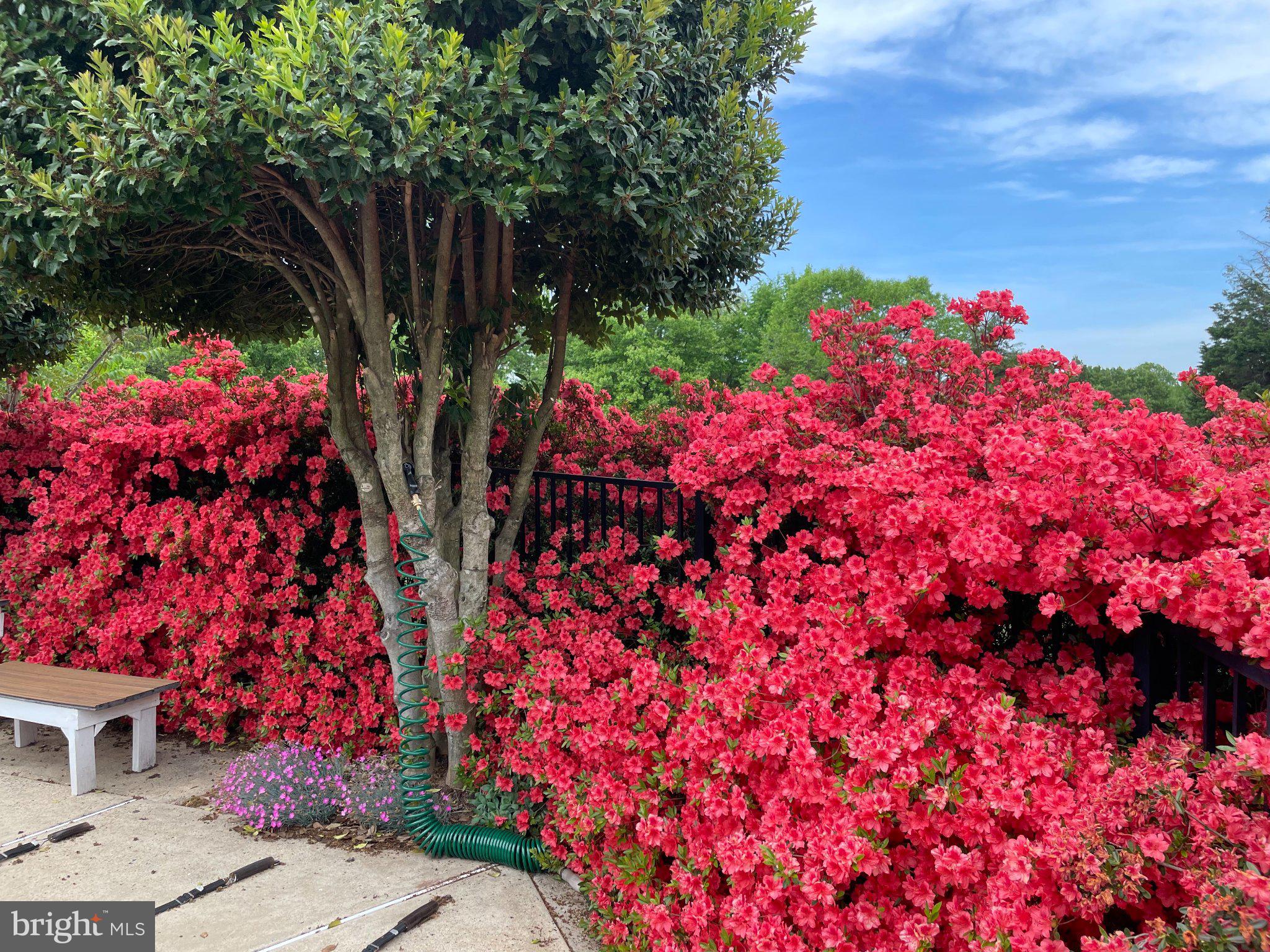 GREAT FALLS WEST - Residential