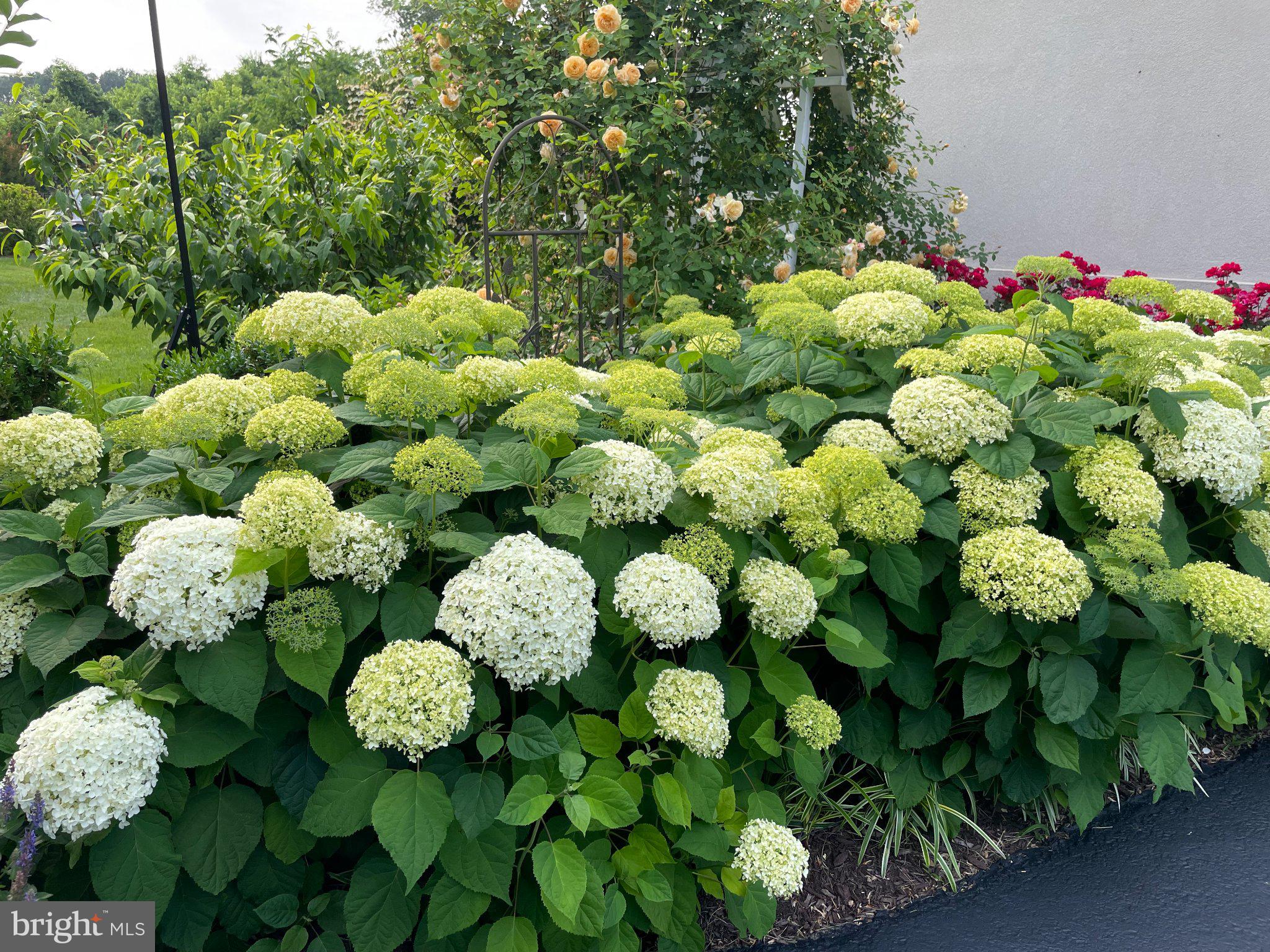 GREAT FALLS WEST - Residential