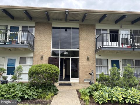 4901 AMERICANA DRIVE 202 ANNANDALE VA 22003