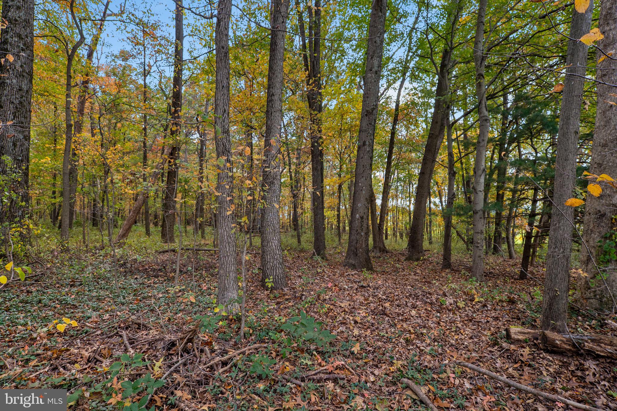 LAYTONSVILLE OUTSIDE - Residential