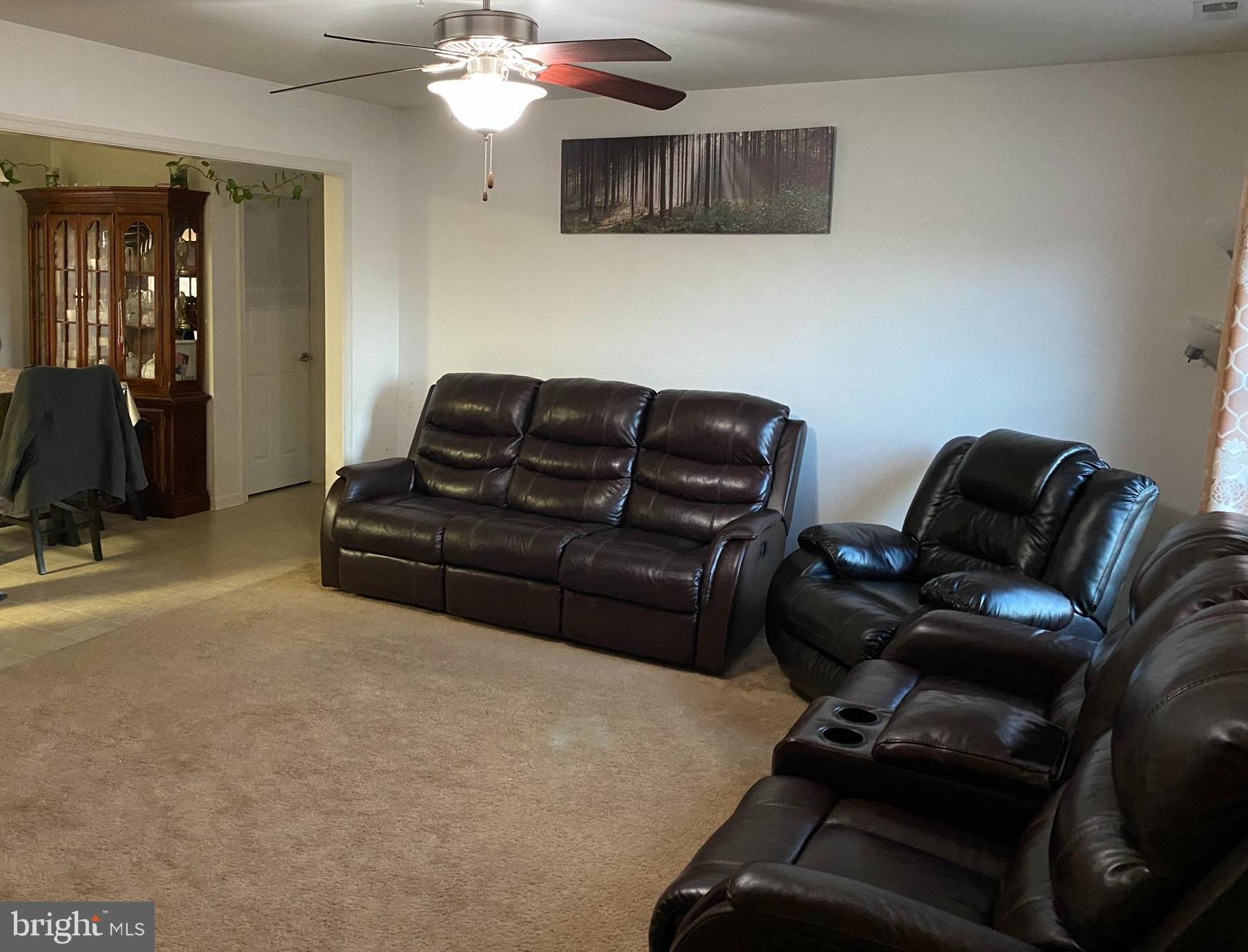 VILLAGES AT PARSONS LAKE - Residential