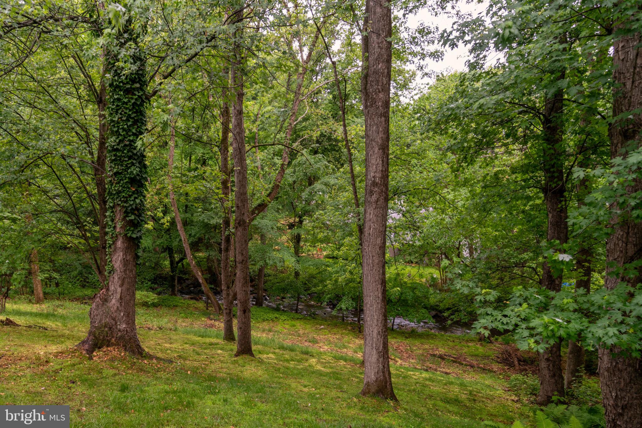 BEL PRE WOODS - Residential