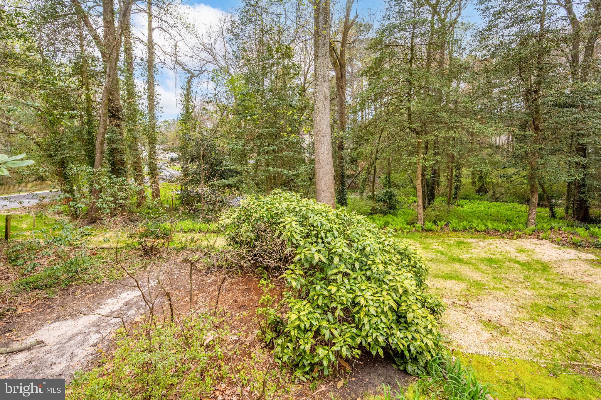 TONY TANK - Residential