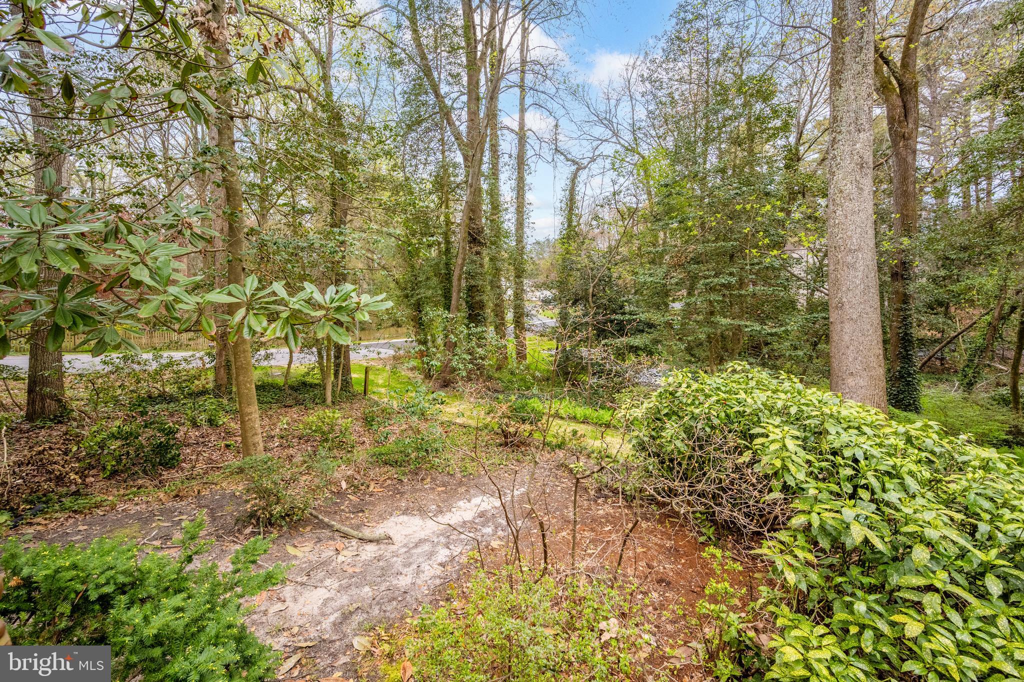 TONY TANK - Residential