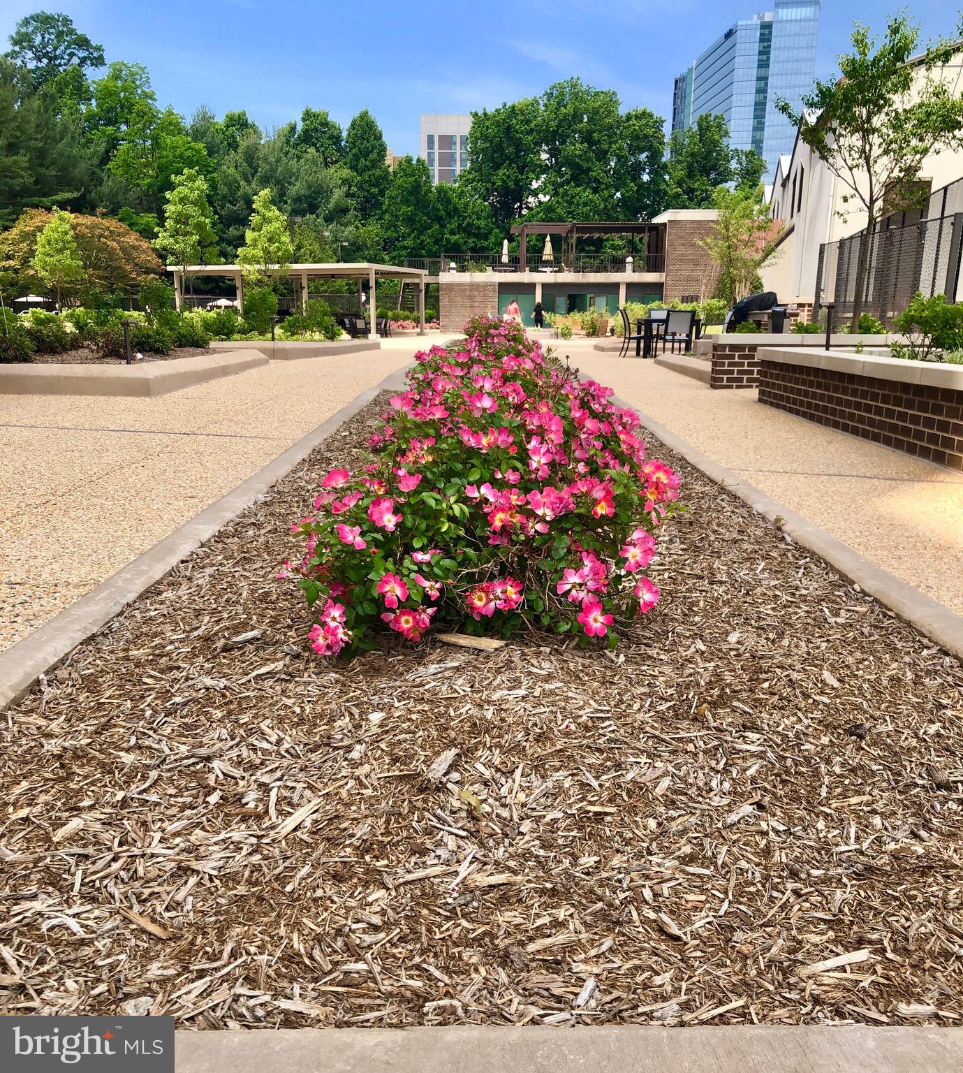 REGENCY AT MCLEAN - Residential Lease