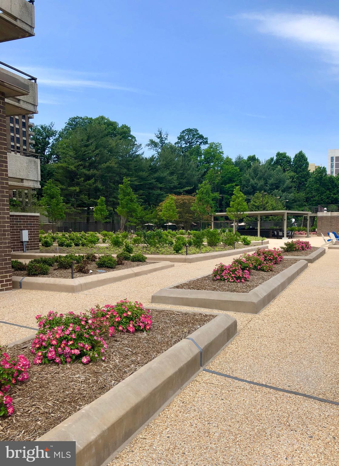 REGENCY AT MCLEAN - Residential Lease