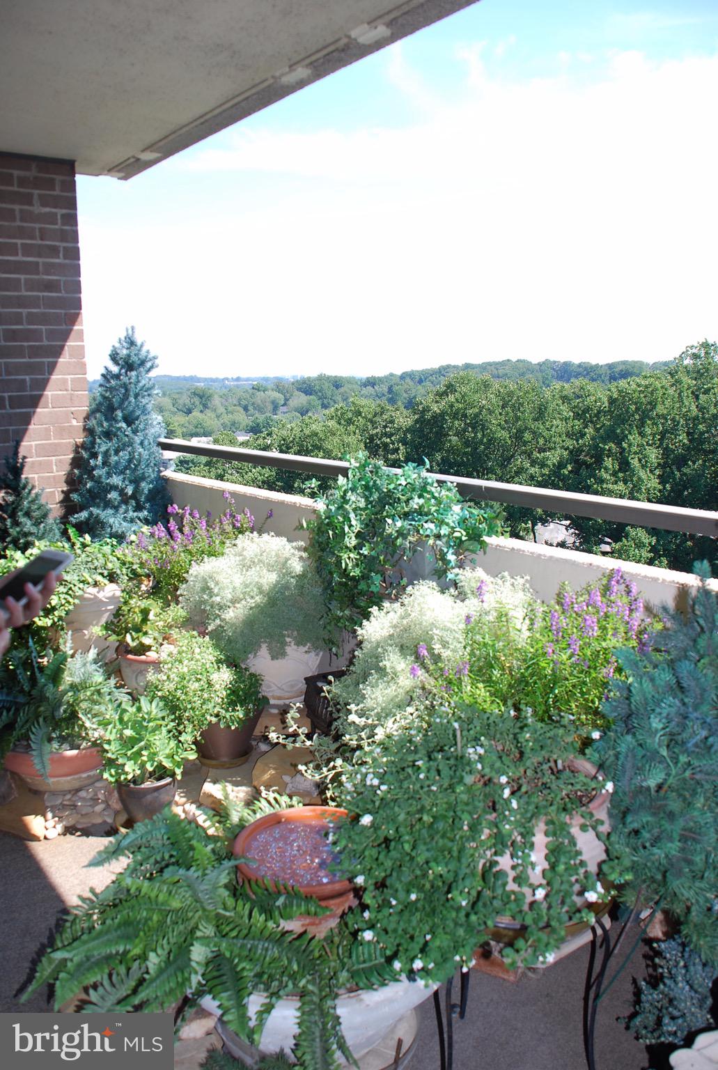 REGENCY AT MCLEAN - Residential Lease