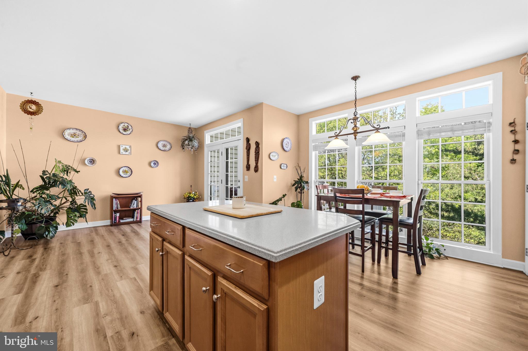 LORTON STATION SOUTH - Residential